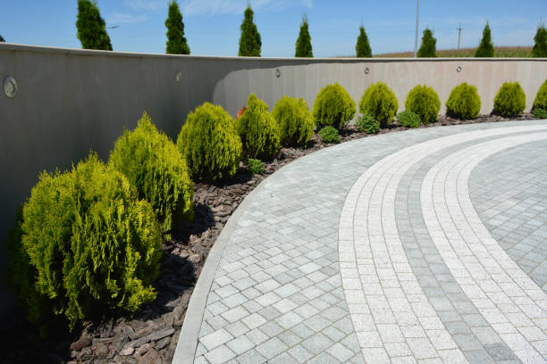Professional Driveway Pavers in Buda, TX